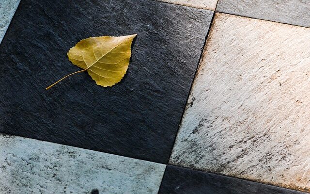 Undgå algevækst: De bedste tips til rensning af terrassens fliser