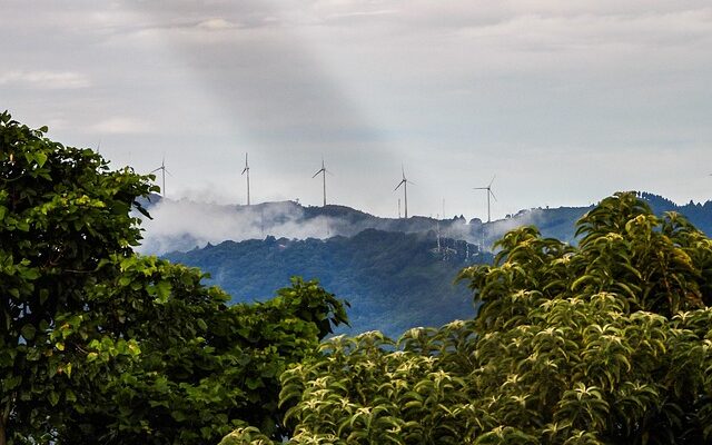 Alt fra jagtknive til køkkenknive – find din nye favorit hos dolk.dk