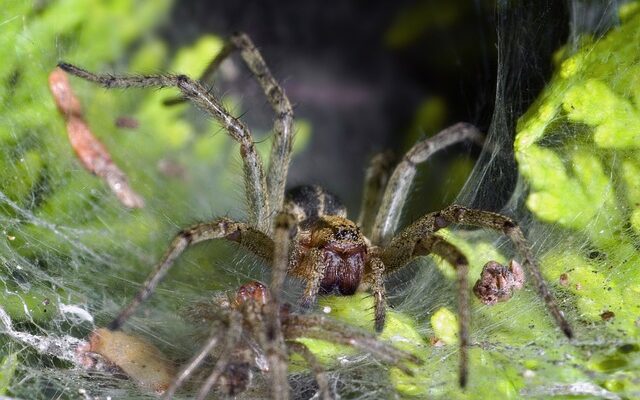 Fem fantastiske måder at bruge rester på