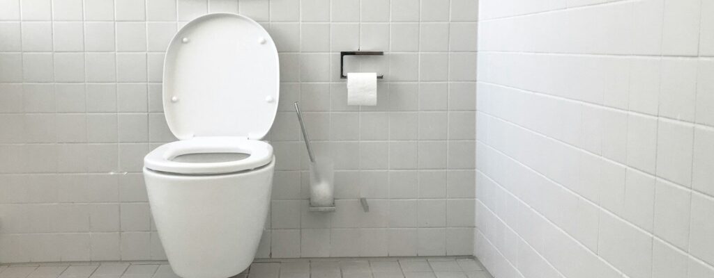 white toilet bowl with cistern